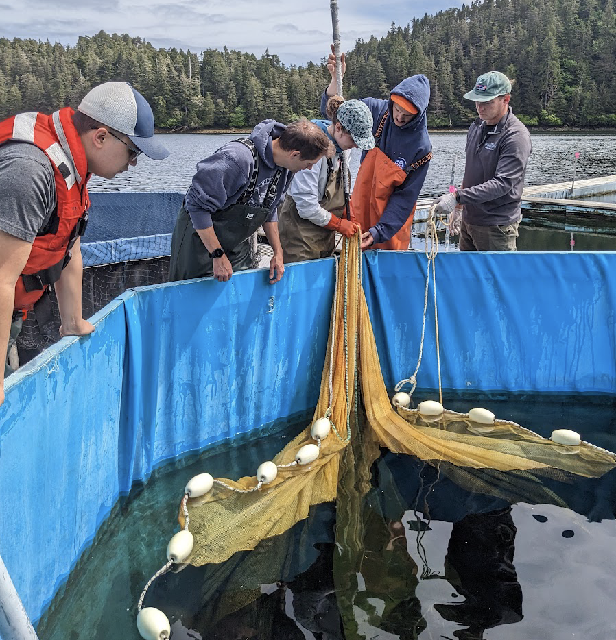 
Credit: NOAA Fisheries, Heather Fulton-Bennett Description: Students learn how to set a purse sein net at Little Port Walter Research Station